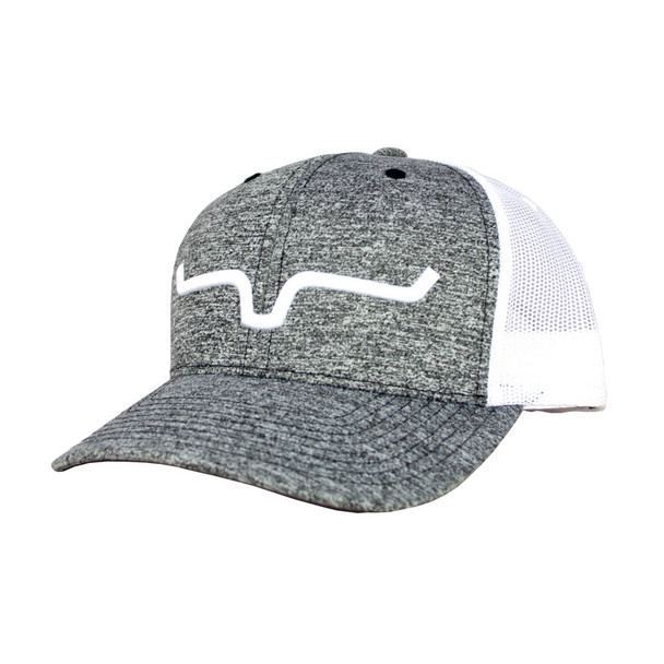 product variation Gray image