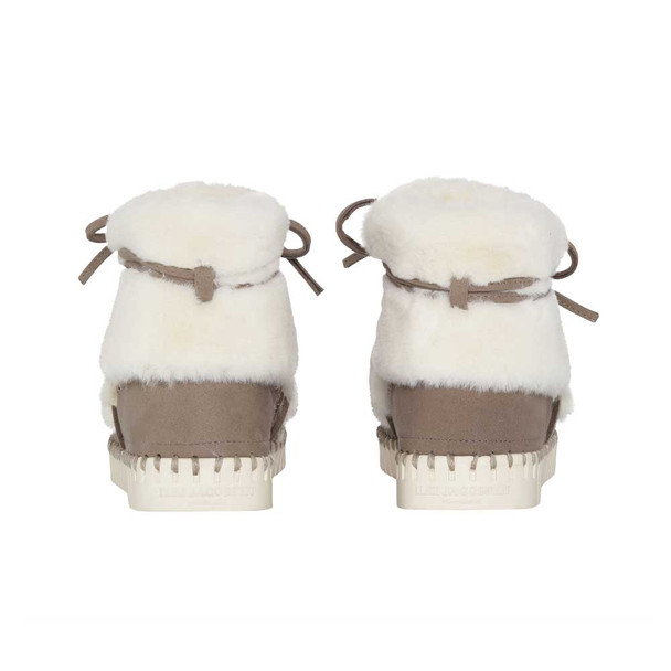 product variation Falcon image