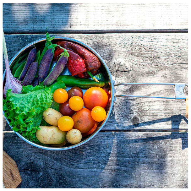 product variation PRIMUS Campfire 25cm Stainless Steel Frying Pan (P738000) image