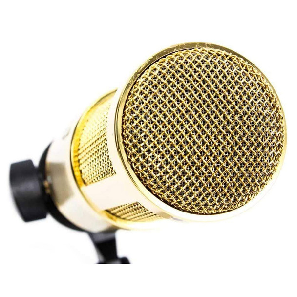 HEIL SOUND PR 40 Large Diameter Dynamic Gold Studio Microphone (PR40-GOLD)