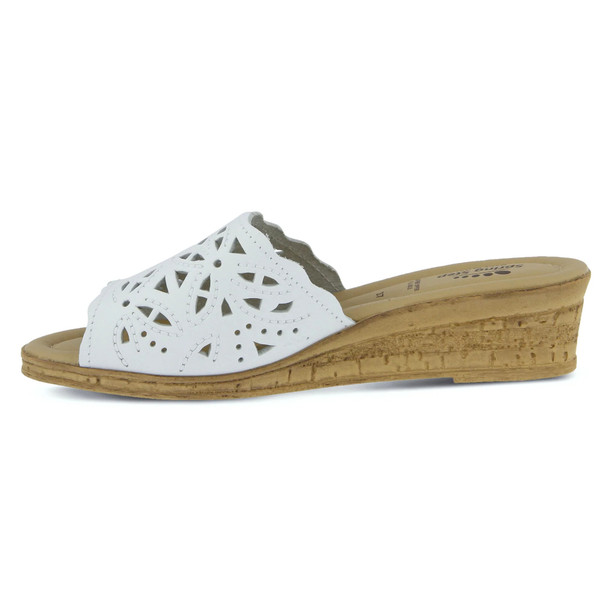 product variation White image