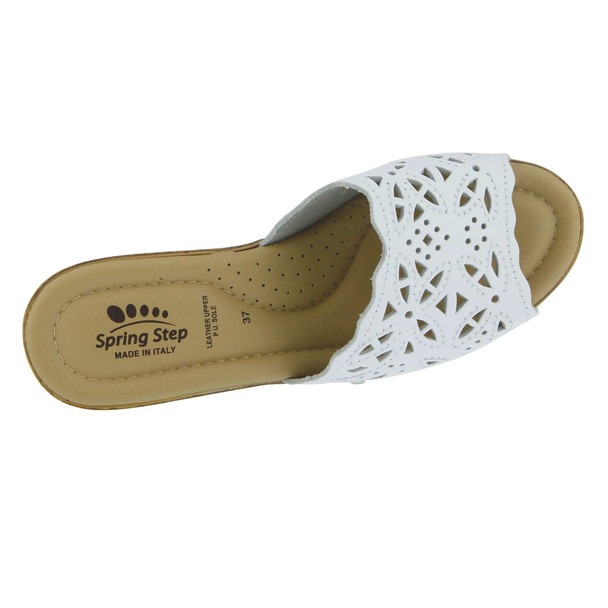 product variation White image