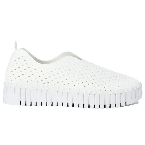 product variation White image