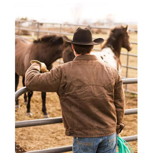 product variation Brown image