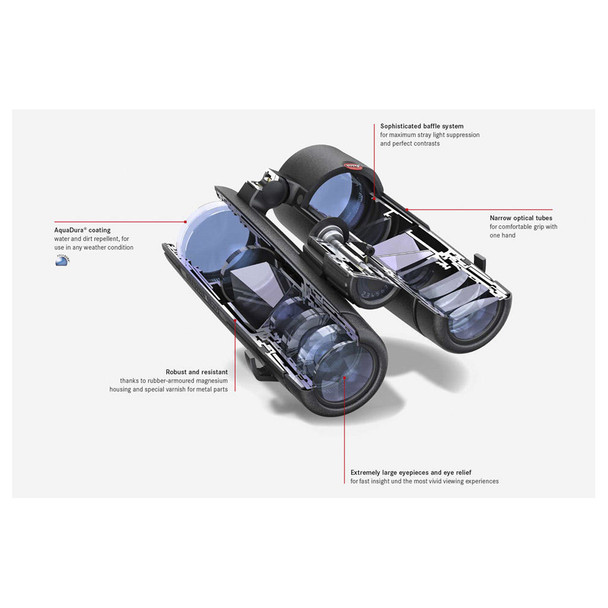 product variation LEICA 10x42 Noctivid Black Binocular (40385) image