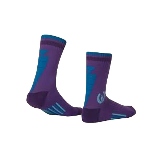 product variation Iris image