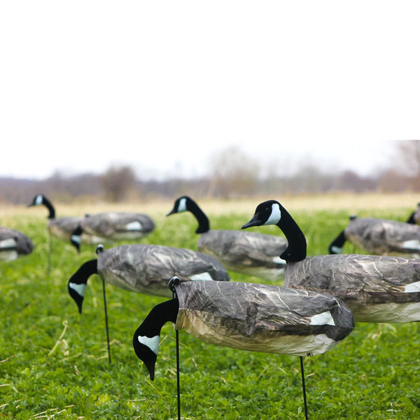 WHITE ROCK DECOYS Canada Goose Windsock Decoys, 12-Pack (CGH)