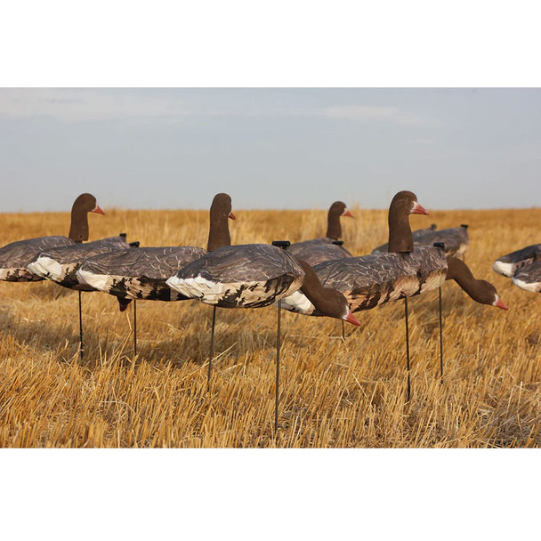 WHITE ROCK DECOYS Specklbelly Goose Windsock Decoys, 12-Pack (SBH)