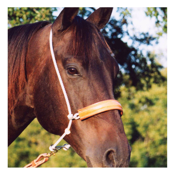 product variation MARTIN SADDLERY Leather Nose Headsetter Tiedown (HTDRL) image