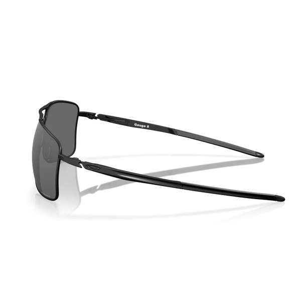 Black/Prizm Black Polarized