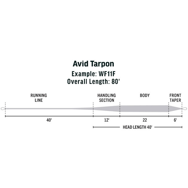 product variation RIO PRODUCTS Avid Tarpon Wf11f 80ft Fly Line (6-19770) image