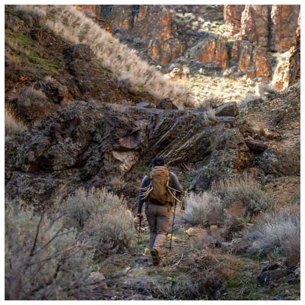 product variation Coyote Brown image