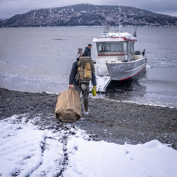 product variation Coyote Brown image