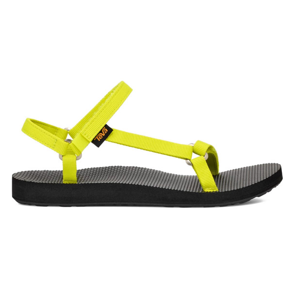 product variation Evening Primrose image