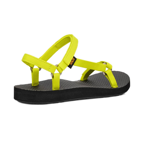 product variation Evening Primrose image