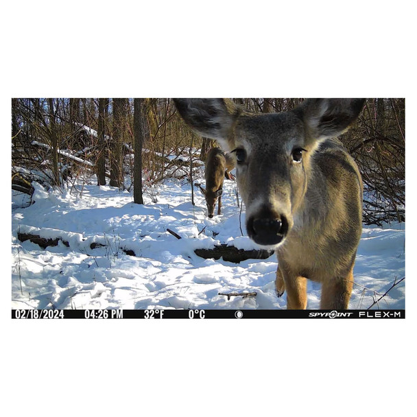 product variation SPYPOINT Flex-M Cellular Trail Camera (FLEX-M) image
