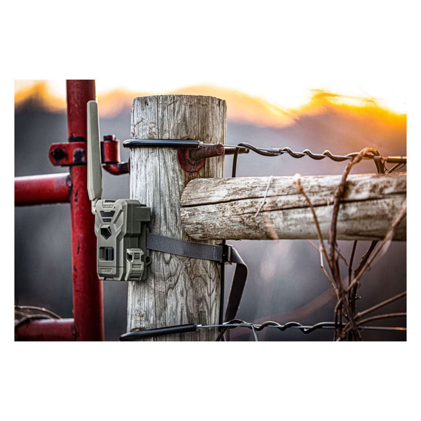 product variation SPYPOINT Flex-M Twin Cellular Trail Camera (FLEX-M-TWIN) image