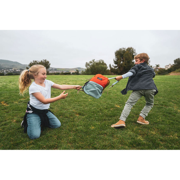 product variation Pumpkin Patch image