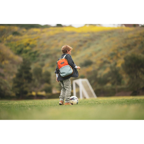 product variation Pumpkin Patch image