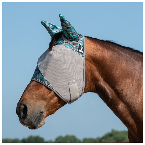 product variation Pluma image