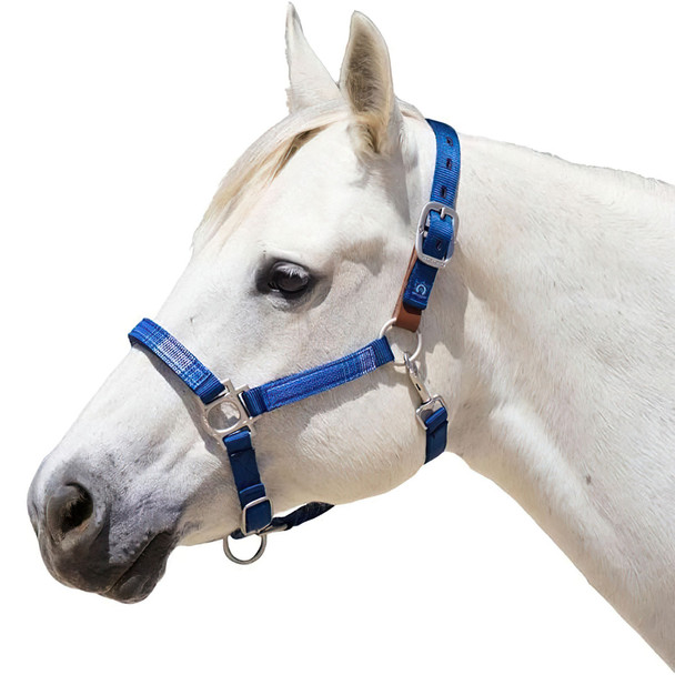 product variation Kentucky Blue image