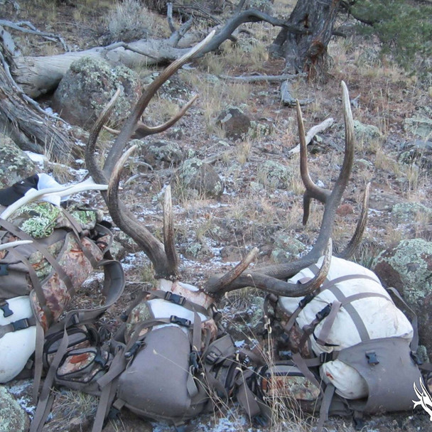 product variation SPORTMAN'S OUTDOOR PRODUCTS Horn Hunter Full Curl Standard White Meat Bag (HH160000) image