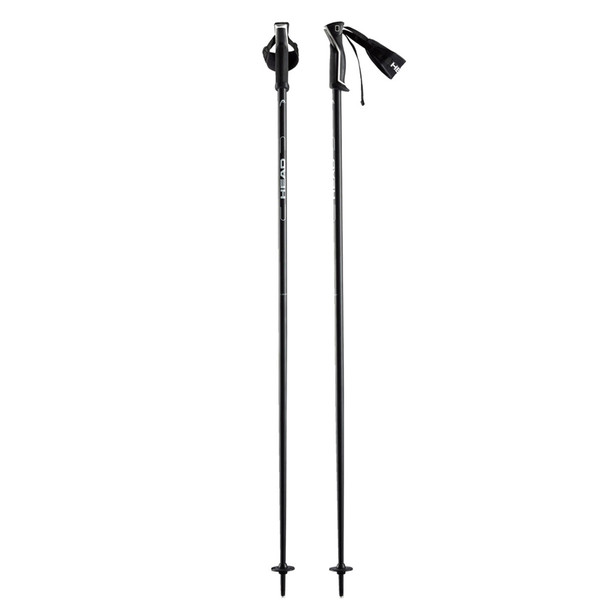 product variation HEAD Frontside Anthracite/White Ski Poles (381553) image