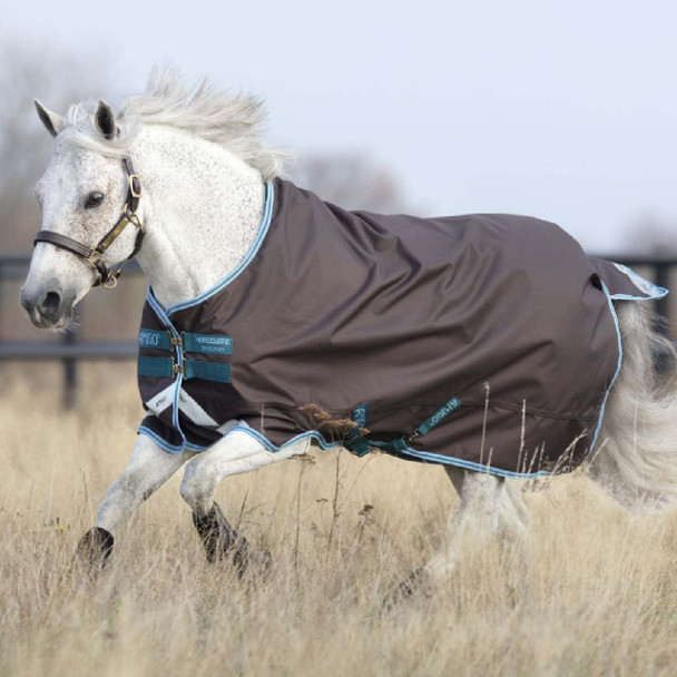 product variation HORSEWARE IRELAND Amigo Bravo 12 Pony Plus Excalibur Lite 0g Turnout Blancket (AKRP71-JDE0) image
