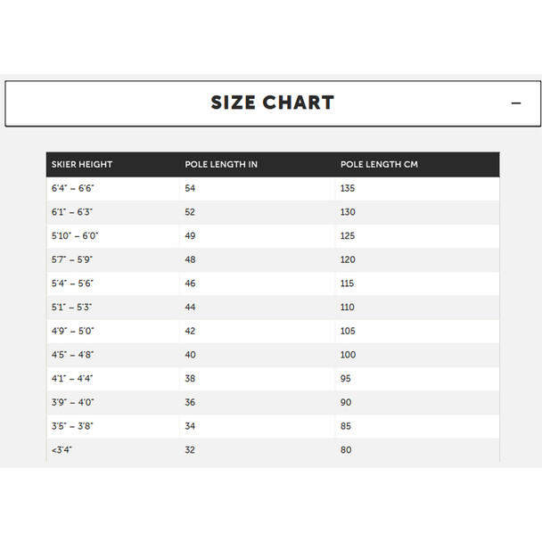 product variation VOLKL Women's Phantastick Purple Ski Poles (141019) image