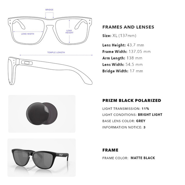 Oakley THE OAKLEY ARCTIC CHALLENGE サイズF OAKLEY Frogskins Sunglasses OO9245-8754
