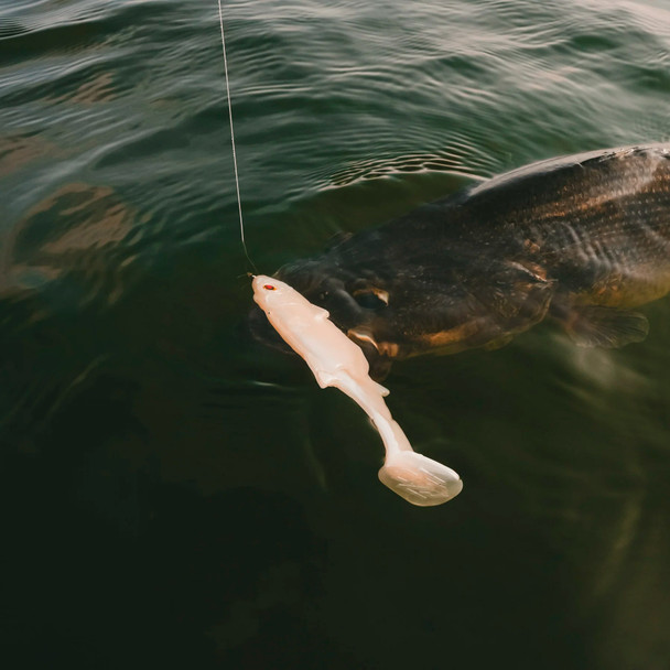 product variation Albino image