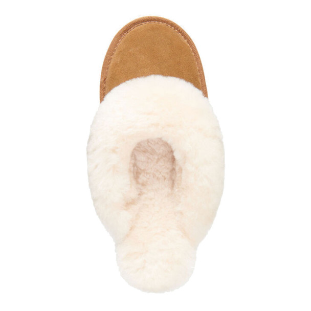 product variation Chestnut image