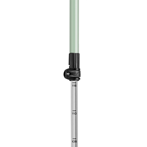 product variation LEKI Spin Shark SL White/Green/Anthracite Nordic Walking Poles (65326141) image