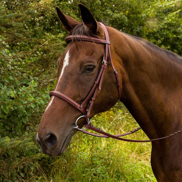 product variation HENRI DI RIVEL Advantage Horse Fancy Havana Raised Padded Bridle with Laced Reins (5001-03H) image