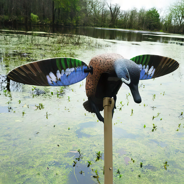 product variation MOJO Elite Series Blue Wing Teal Decoy (MOJO-HW2475-3P) image