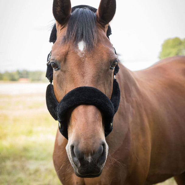 product variation BACK ON TRACK Audrey Black Fleece Fur Halter (206990) image