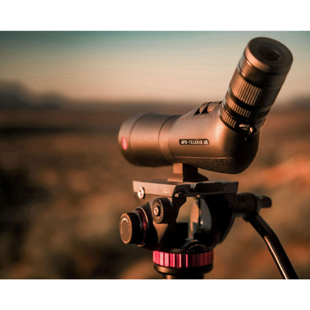 product variation LEICA APO-Televid 65 W Angled Professional Scope Kit with Vario 25-50x WW ASPH Eyepiece (40149) image