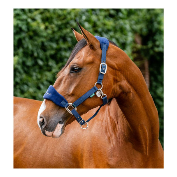 product variation Navy image