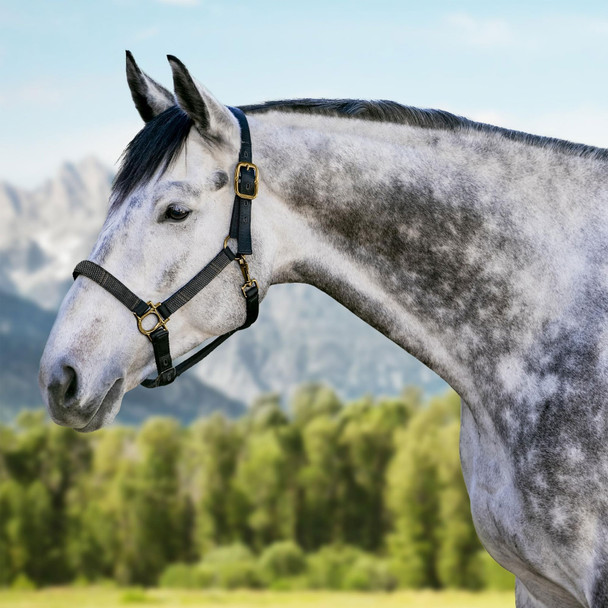 product variation Black/Raven image