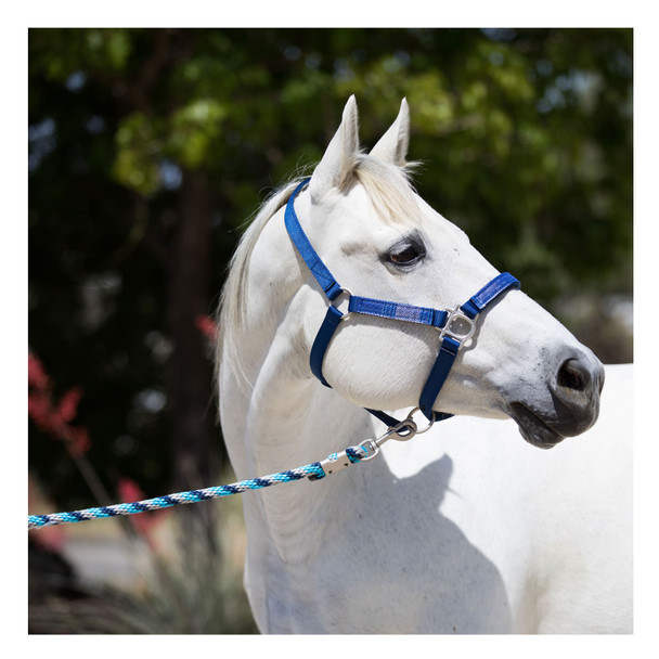 product variation Kentucky Blue image