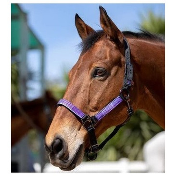 product variation Lavender Mint image