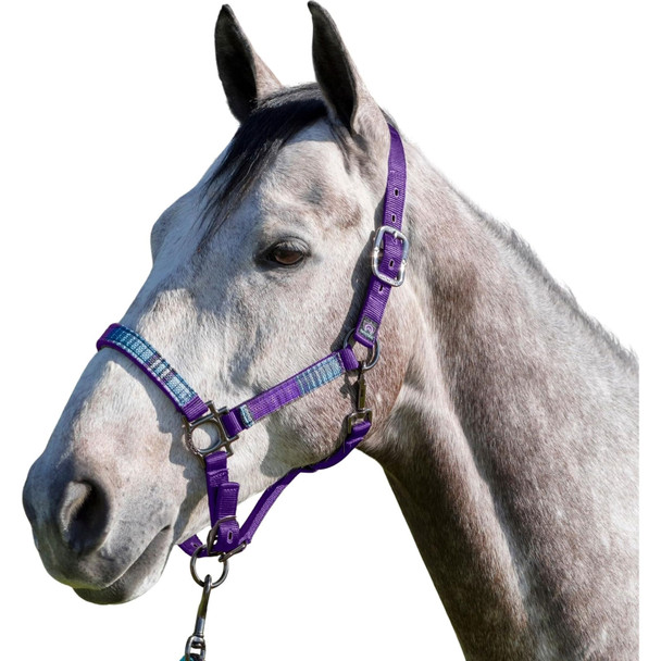 product variation Purple/Lavender Mint image