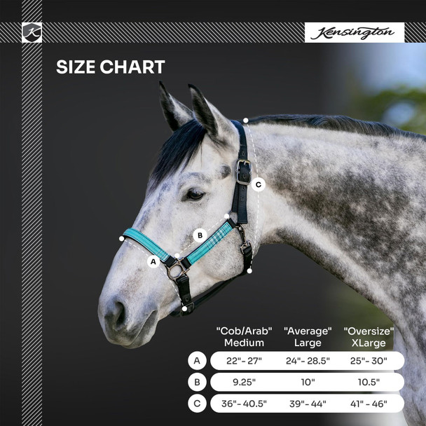 product variation Purple/Lavender Mint image