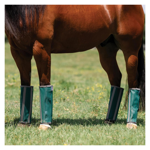 product variation Emerald image