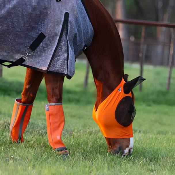 product variation Orange image