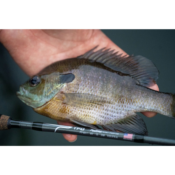 product variation TFO Pastime Trout-Panfish 7ft Ultralight 1-pc Spinning Rod (PTP-701-1) image