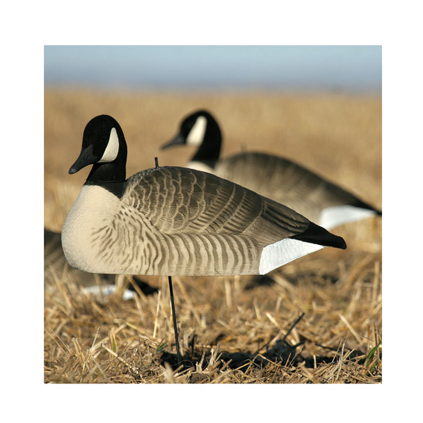 product variation AVERY GHG Universal Motion Stakes, 12-Pack (71190) image