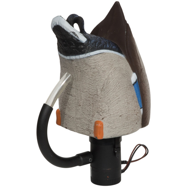 product variation Mallard Drake image