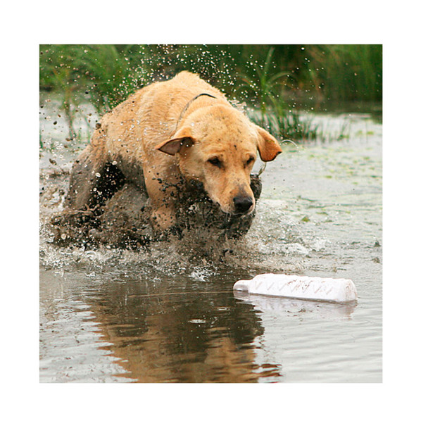 product variation White image