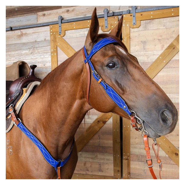 product variation CIRCLE Y Marfa Lights Suede Browband Royal Headstall (1070-10-AK) image